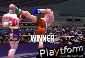 K-1 The Arena Fighters (PlayStation)