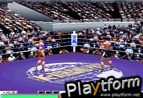 K-1 The Arena Fighters (PlayStation)