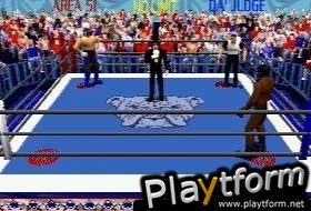 Power Move Pro Wrestling (PlayStation)