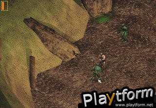 Druid: Daemons of the Mind (PC)