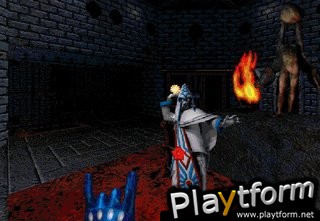 CyberMage: Darklight Awakening (PC)