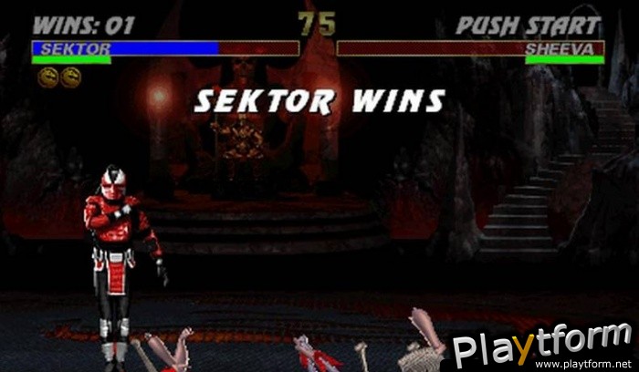 Ultimate Mortal Kombat 3 (Arcade Games)