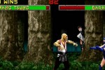 Mortal Kombat II (Arcade Games)