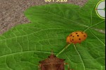 Bugfarm Mobile (iPhone/iPod)