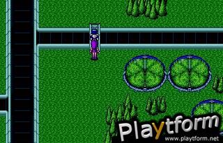 Phantasy Star II (Genesis)