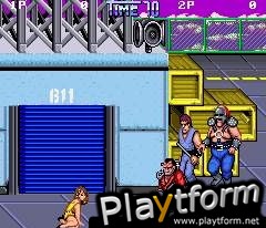 Double Dragon II: The Revenge (Arcade Games)