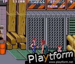 Double Dragon II: The Revenge (Arcade Games)