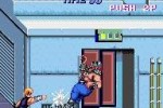 Double Dragon II: The Revenge (Arcade Games)