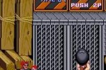 Double Dragon II: The Revenge (Arcade Games)