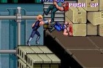 Double Dragon II: The Revenge (Arcade Games)