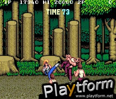 Double Dragon (Arcade Games)