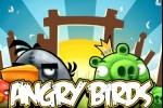 Angry Birds (iPhone/iPod)