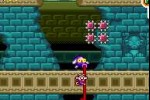 Shantae Advance (Game Boy Advance)