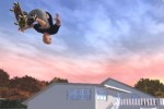 TransWorld Skateboarding (Xbox)