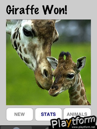 AniMalToe (iPhone/iPod)