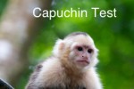 Capuchin Test (iPhone/iPod)