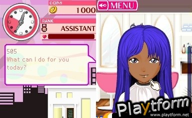 Picture Perfect Hair Salon (DS)