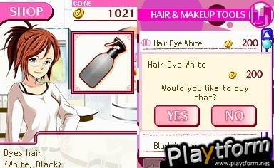 Picture Perfect Hair Salon (DS)