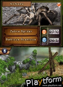 Discovery Kids: Spider Quest (DS)