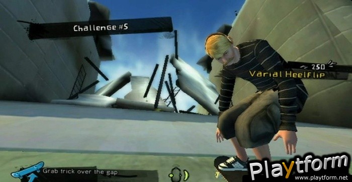 Tony Hawk Ride (Wii)