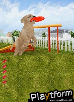 Petz Dogz Talent Show (DS)