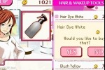 Picture Perfect Hair Salon (DS)