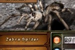 Discovery Kids: Spider Quest (DS)