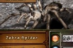 Discovery Kids: Spider Quest (DS)